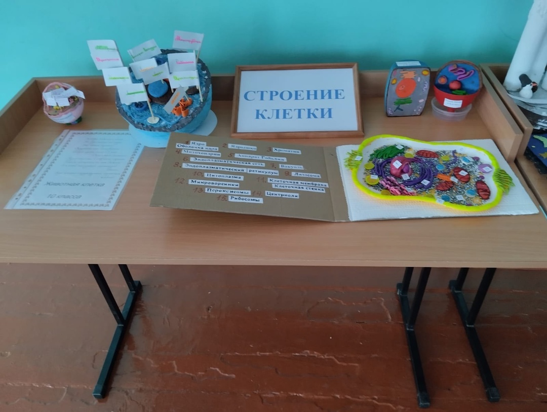 Живая клетка.